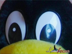 [������� � ���������]